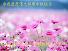 ֹ,ӱ󷨵ӹףʦ(23)
