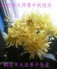 ֹ,󷨵ӹףʦ(24)
