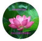 Published on 9/8/2014 ���ֹ�,��½�󷨵��ӹ�ףʦ�������(35��)
