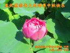 ֹ,󷨵ӹףʦ(21)
