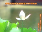 法轮功,陕西大法弟子恭祝师尊中秋好(21条)
