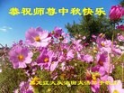 ֹ,󷨵ӹףʦ(24)
