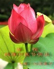 ֹ,Ϻ󷨵ӹףʦ(27)
