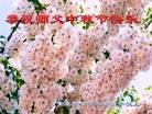 ֹ,ൺ󷨵ӹףʦ(27)
