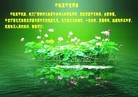 ֹ,󷨵ӹףʦ(24)
