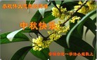 ֹ,մ󷨵ӹףʦ(28)
