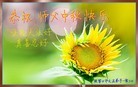ֹ,żҿڴ󷨵ӹףʦ(27)
