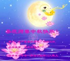 ֹ,ʡ󷨵ӹףʦ(30)
