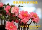 法轮功,陕西大法弟子恭祝师尊中秋好(25条)
