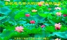 ֹ,󷨵ӹףʦ(31)
