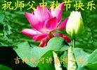 ֹ,ʡ󷨵ӹףʦ(75)
