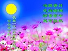 ֹ,ʡ󷨵ӹףʦ(75)
