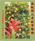 ֹ,ʡ󷨵ӹףʦ(75)
