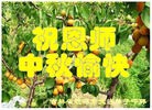 ֹ,ʡ󷨵ӹףʦ(75)
