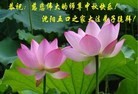 法轮功,辽宁大法弟子恭祝师尊中秋好(79条)
