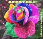 ֹ,ʡ󷨵ӹףʦ(75)
