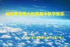 ֹ,󷨵ӹףʦ(79)
