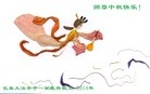ֹ,ʡ󷨵ӹףʦ(75)
