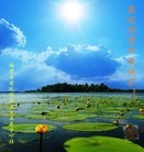 Published on 9/9/2014 ���ֹ�,��½�󷨵��ӹ�ףʦ�������(79��)
