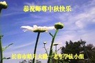 ֹ,ʡ󷨵ӹףʦ(75)
