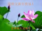 ֹ,½󷨵ӹףʦԪ(89)
