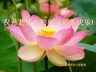 ֹ,½󷨵ӹףʦã145
