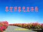 ֹ,½󷨵ӹףʦã145
