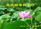 ֹ,ݴ󷨵ӹףʦ(23)
