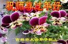 ֹ,д󷨵ӹףʦ(20)
