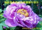 法轮功,内蒙古大法弟子恭祝师尊过年好(27条)
