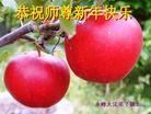 ֹ,ɹŴ󷨵ӹףʦ(27)
