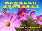 ֹ,ҵ󷨵ӹףʦ(29)
