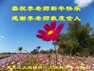 ֹ,ҵ󷨵ӹףʦ(29)
