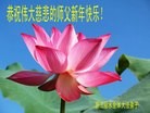 ֹ,㽭󷨵ӹףʦ(24)
