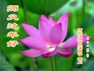 ֹ,ӱ󷨵ӹףʦ(22)
