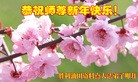 ֹ,ҵ󷨵ӹףʦ(29)
