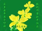 法轮功,长春大法弟子恭祝师尊过年好(18条)
