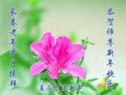 ֹ,󷨵ӹףʦ(18)
