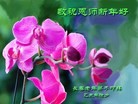 ֹ,󷨵ӹףʦ(18)
