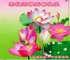 ֹ,ʡ󷨵ӹףʦ(22)
