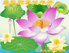 法轮功,吉林省大法弟子恭祝师尊过年好(22条)
