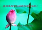 ֹ,ҵ󷨵ӹףʦ(29)
