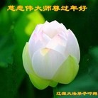 ֹ,ʡ󷨵ӹףʦ(22)

