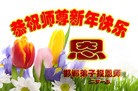 法轮功,河北大法弟子恭祝师尊过年好(22条)
