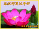 ֹ,ʡ󷨵ӹףʦ(22)
