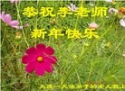 ֹ,󷨵ӹףʦ(22)
