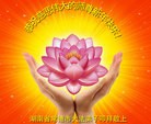 法轮功,湖南大法弟子恭祝师尊过年好(24条)
