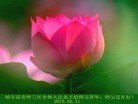 ֹ,󷨵ӹףʦ(22)
