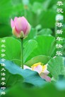 ֹ,󷨵ӹףʦ(27)
