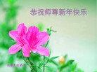 ֹ,󷨵ӹףʦ(20)
